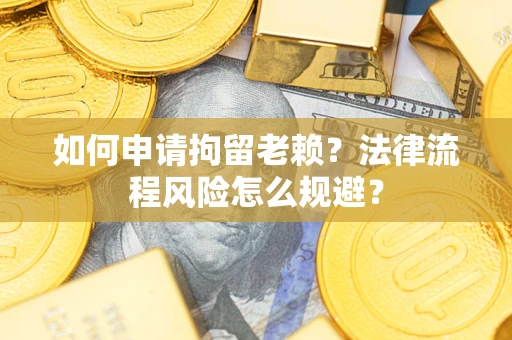 武汉如何申请拘留老赖？法律流程风险怎么规避？