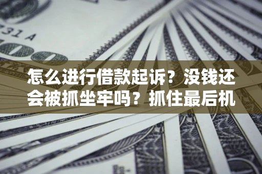 武汉怎么进行借款起诉？没钱还会被抓坐牢吗？抓住最后机会！