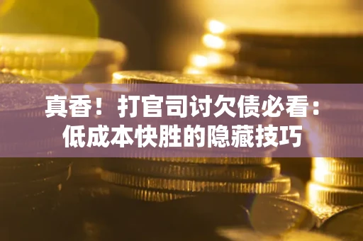 武汉真香！打官司讨欠债必看：低成本快胜的隐藏技巧