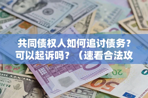武汉共同债权人如何追讨债务？可以起诉吗？（速看合法攻略）