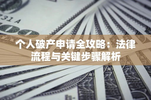 武汉个人破产申请全攻略：法律流程与关键步骤解析